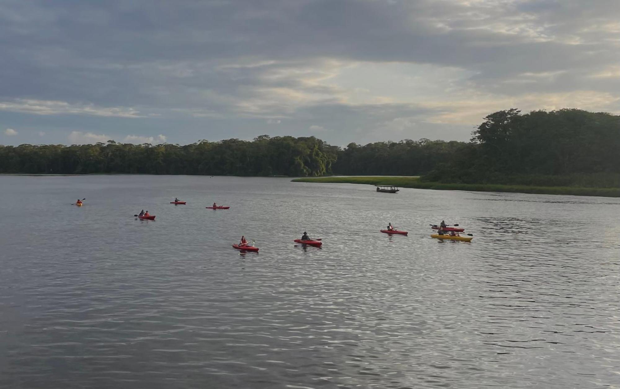 Carey Lodging Tortuguero Exteriör bild