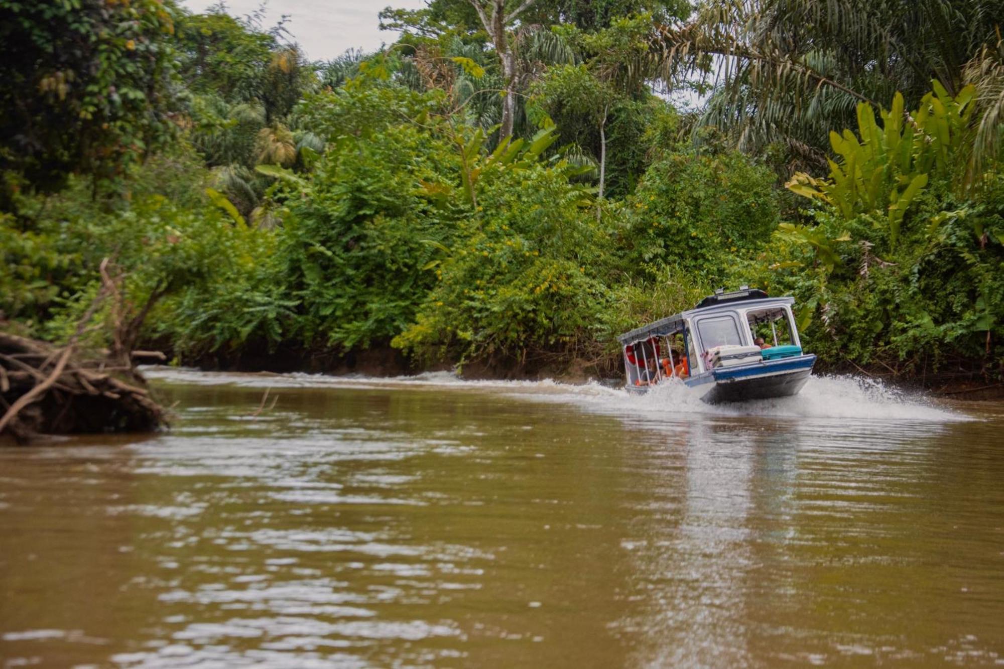 Carey Lodging Tortuguero Exteriör bild