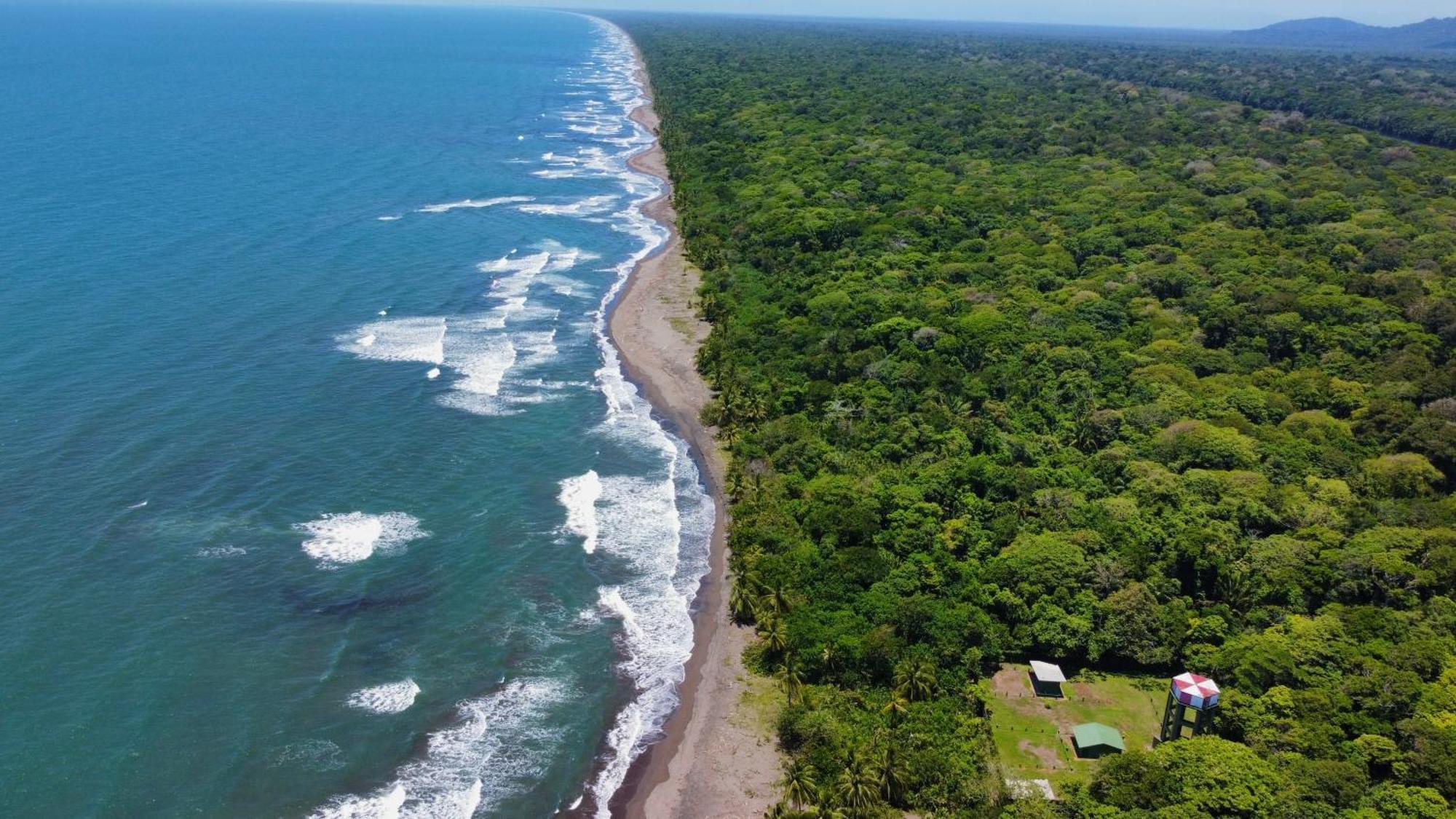 Carey Lodging Tortuguero Exteriör bild