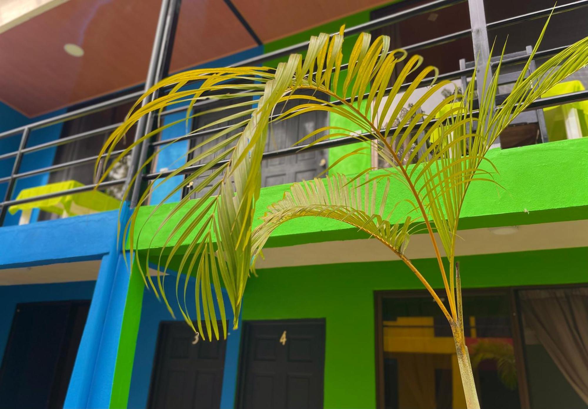 Carey Lodging Tortuguero Exteriör bild