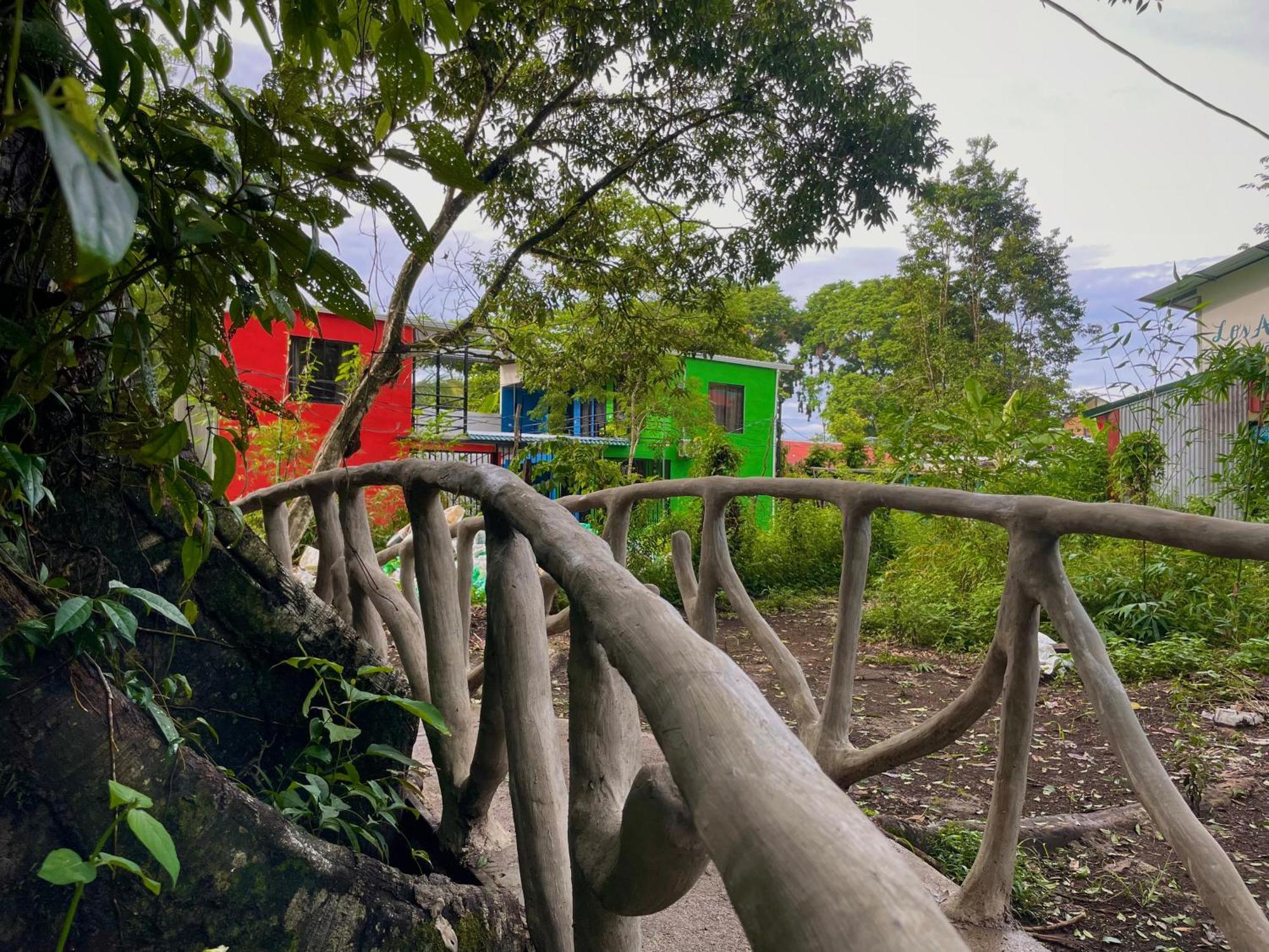 Carey Lodging Tortuguero Exteriör bild