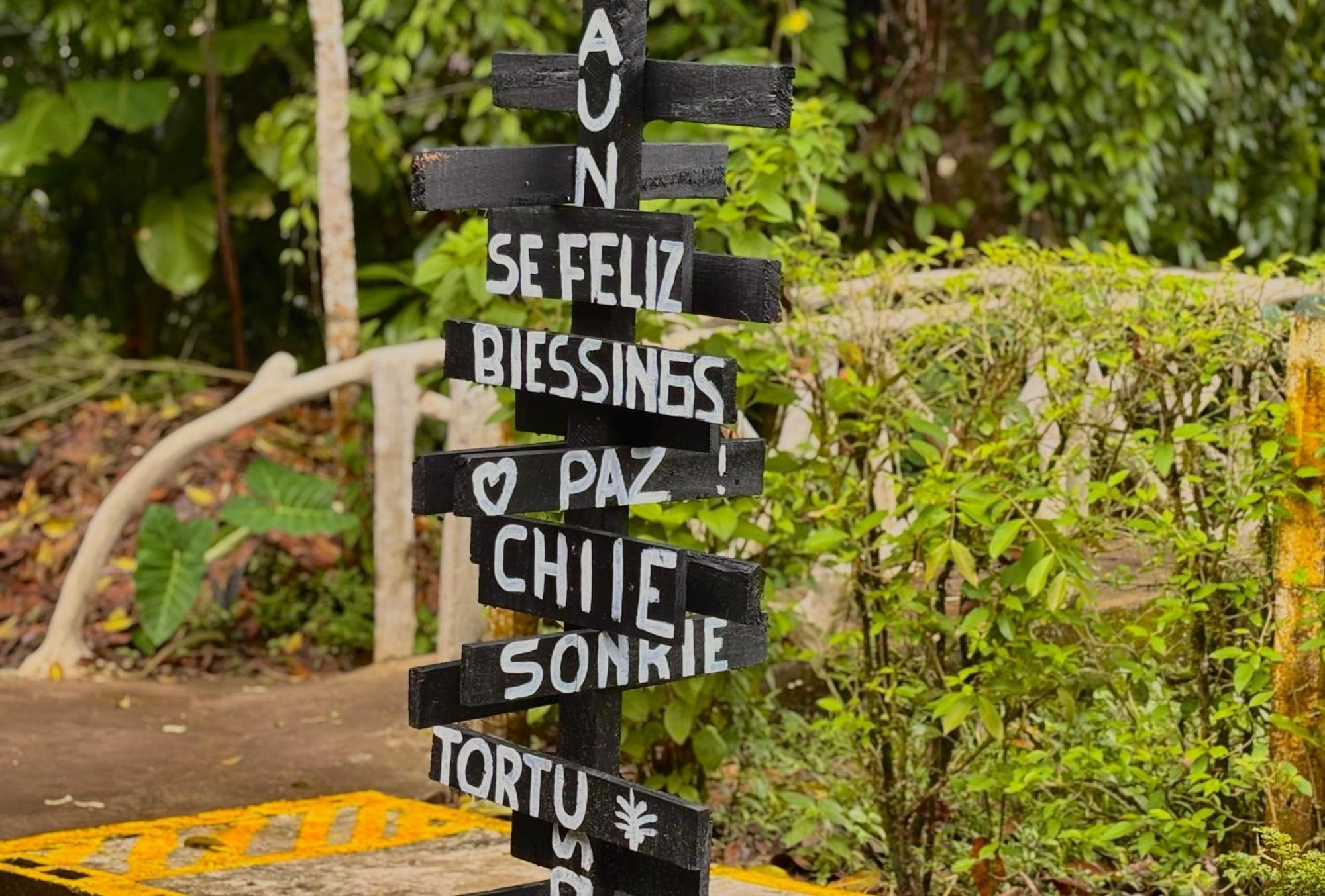 Carey Lodging Tortuguero Exteriör bild
